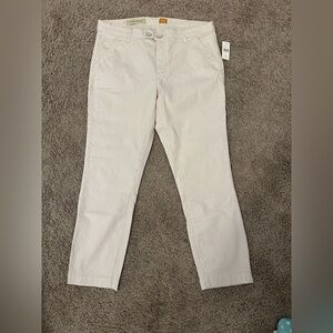 Anthropologie Pilcro NWT Pants